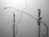 100_0413
